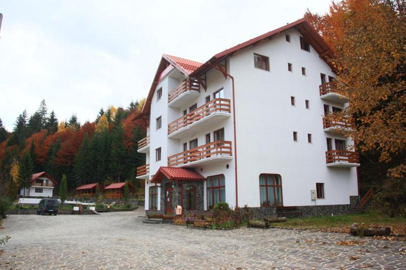 Hotel Paltinis Statjunea Borsa Ngoại thất bức ảnh