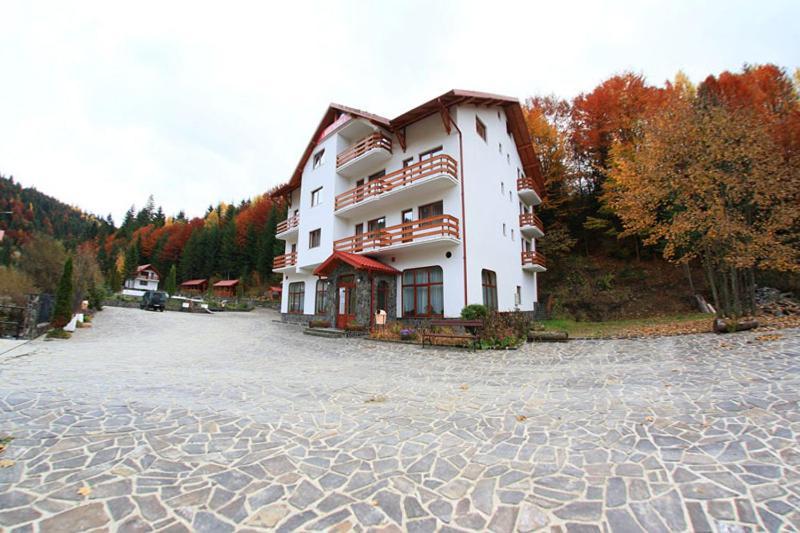 Hotel Paltinis Statjunea Borsa Ngoại thất bức ảnh